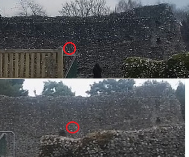 [Image: ghostcomposite.jpg]