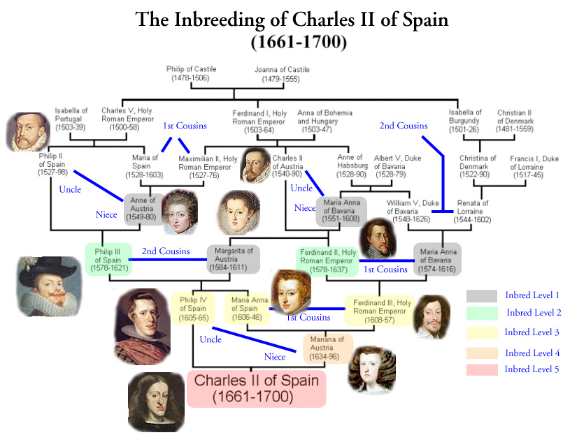 [Image: Charles_II_Inbreeding.jpg]