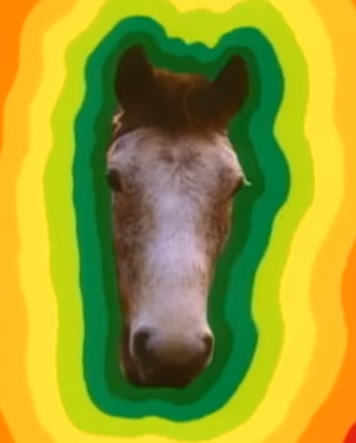 [Image: LovelyHorse.jpg]