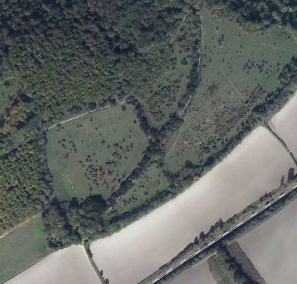 [Image: WottonSatellite.jpg]